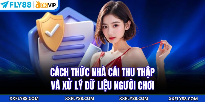 Cách thức nhà cái thu thập và xử lý dữ liệu người chơi